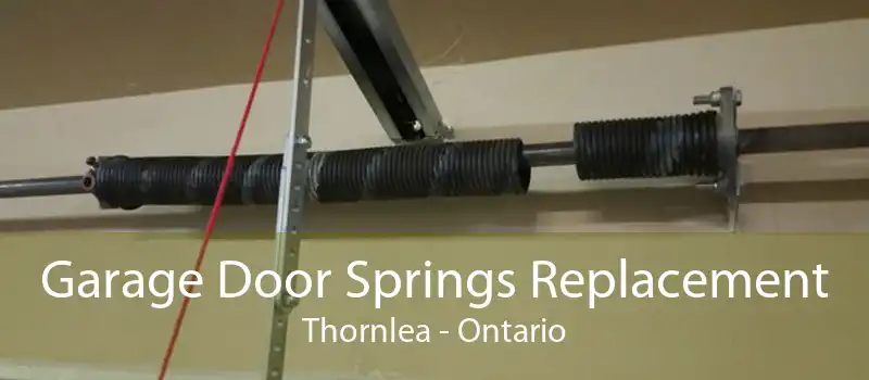 Garage Door Springs Replacement Thornlea - Ontario