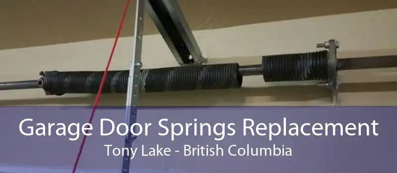 Garage Door Springs Replacement Tony Lake - British Columbia