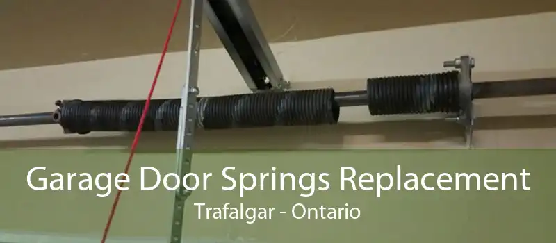 Garage Door Springs Replacement Trafalgar - Ontario