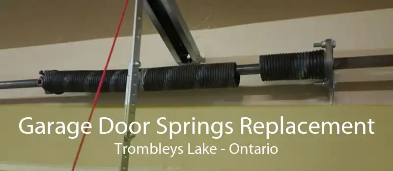 Garage Door Springs Replacement Trombleys Lake - Ontario