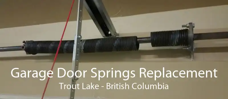 Garage Door Springs Replacement Trout Lake - British Columbia