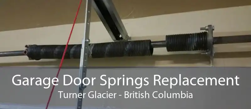 Garage Door Springs Replacement Turner Glacier - British Columbia