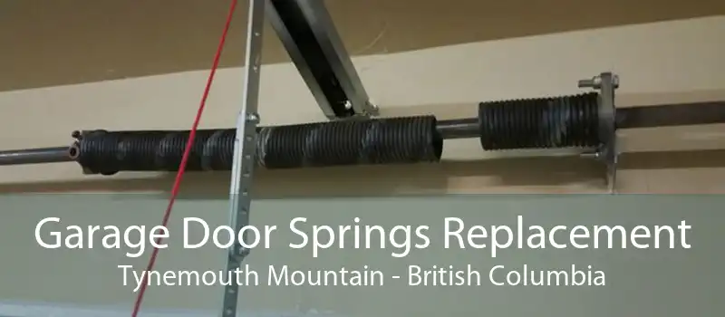 Garage Door Springs Replacement Tynemouth Mountain - British Columbia