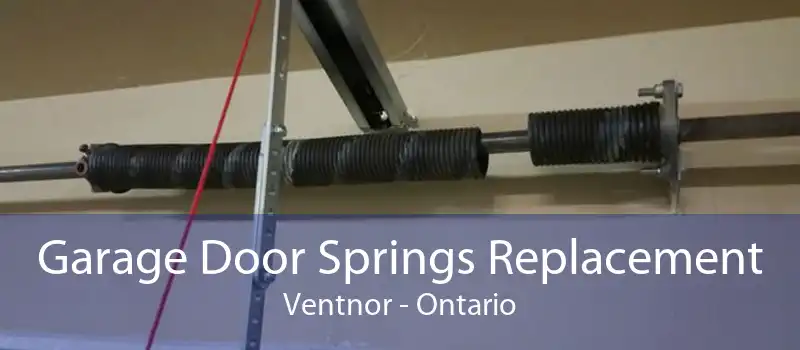 Garage Door Springs Replacement Ventnor - Ontario