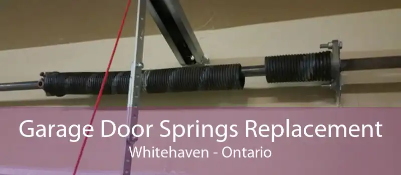 Garage Door Springs Replacement Whitehaven - Ontario