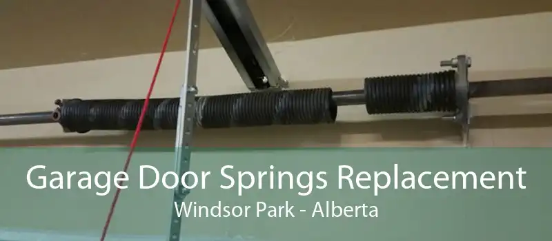 Garage Door Springs Replacement Windsor Park - Alberta