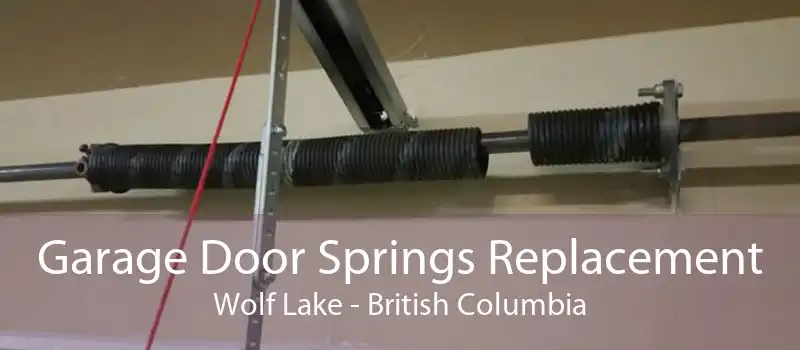 Garage Door Springs Replacement Wolf Lake - British Columbia