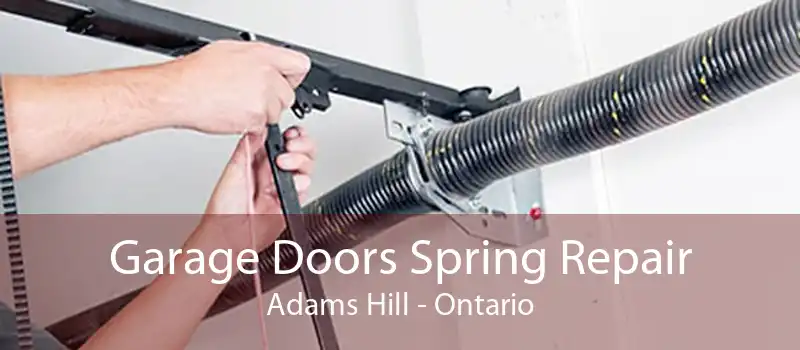 Garage Doors Spring Repair Adams Hill - Ontario