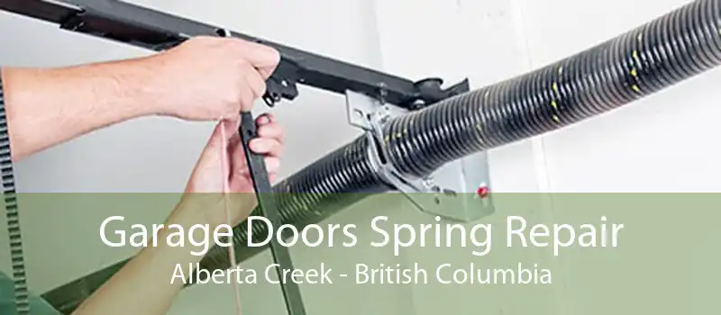 Garage Doors Spring Repair Alberta Creek - British Columbia