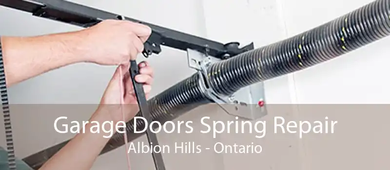 Garage Doors Spring Repair Albion Hills - Ontario