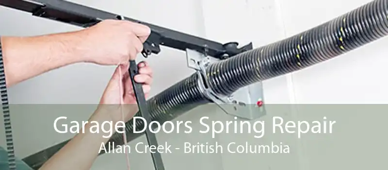 Garage Doors Spring Repair Allan Creek - British Columbia