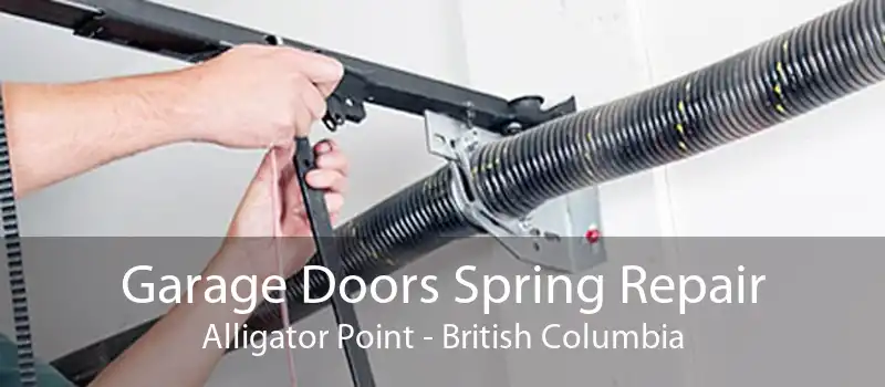 Garage Doors Spring Repair Alligator Point - British Columbia