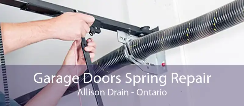 Garage Doors Spring Repair Allison Drain - Ontario