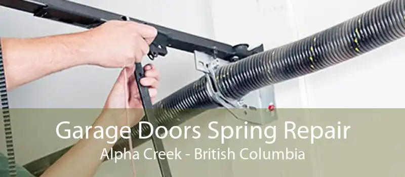 Garage Doors Spring Repair Alpha Creek - British Columbia