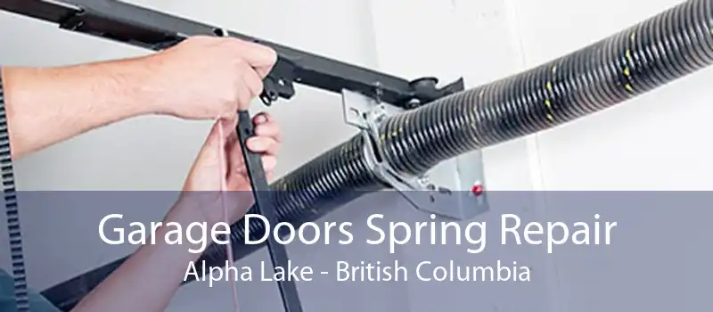 Garage Doors Spring Repair Alpha Lake - British Columbia