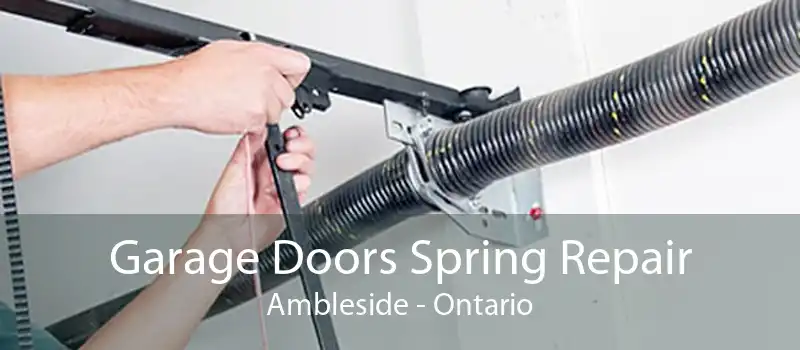 Garage Doors Spring Repair Ambleside - Ontario