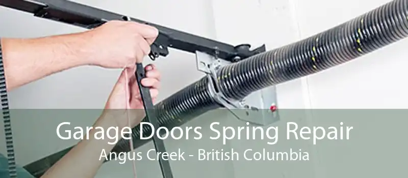 Garage Doors Spring Repair Angus Creek - British Columbia