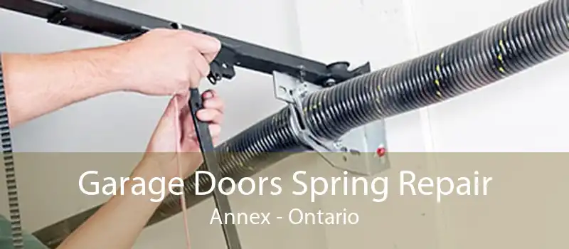 Garage Doors Spring Repair Annex - Ontario