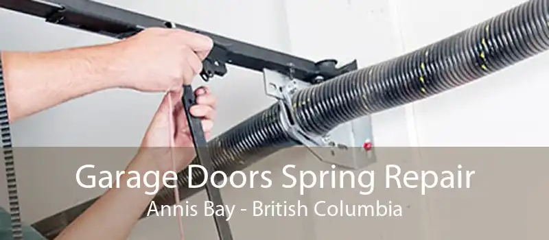 Garage Doors Spring Repair Annis Bay - British Columbia
