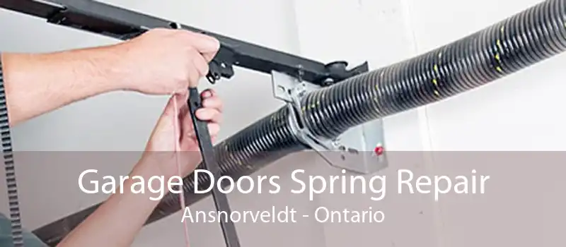 Garage Doors Spring Repair Ansnorveldt - Ontario