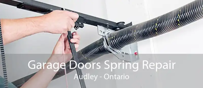 Garage Doors Spring Repair Audley - Ontario