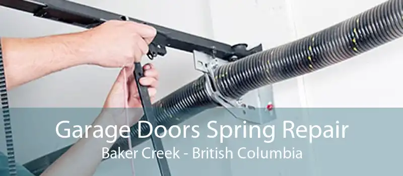 Garage Doors Spring Repair Baker Creek - British Columbia
