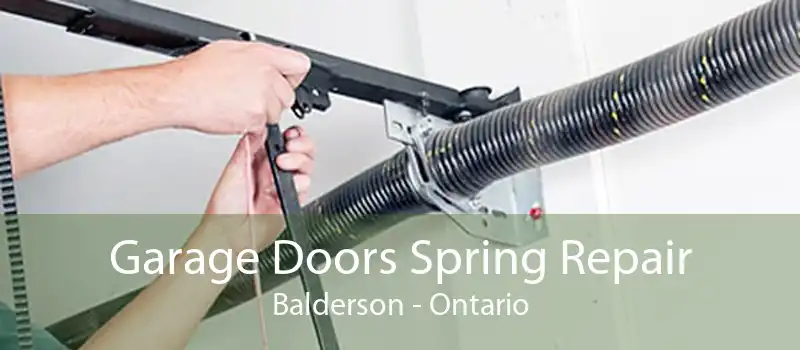 Garage Doors Spring Repair Balderson - Ontario