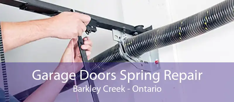 Garage Doors Spring Repair Barkley Creek - Ontario