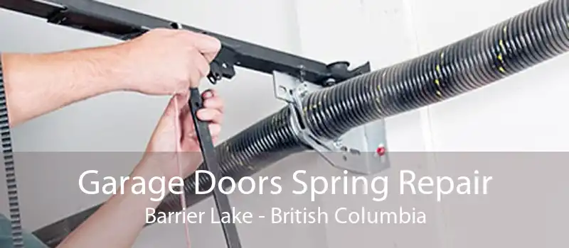 Garage Doors Spring Repair Barrier Lake - British Columbia