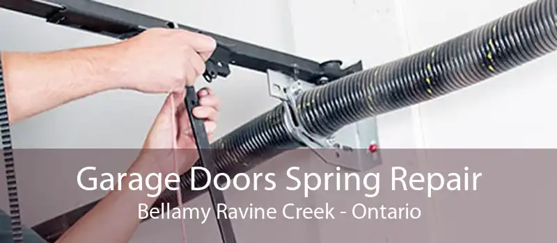 Garage Doors Spring Repair Bellamy Ravine Creek - Ontario
