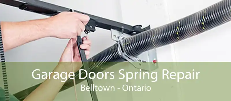 Garage Doors Spring Repair Belltown - Ontario