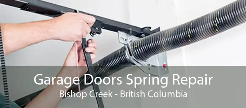 Garage Doors Spring Repair Bishop Creek - British Columbia