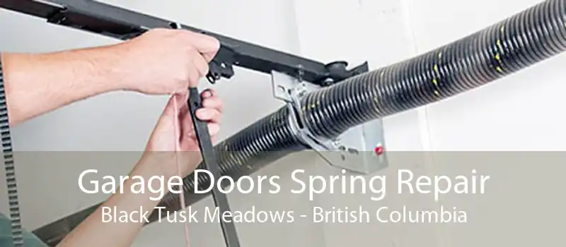Garage Doors Spring Repair Black Tusk Meadows - British Columbia