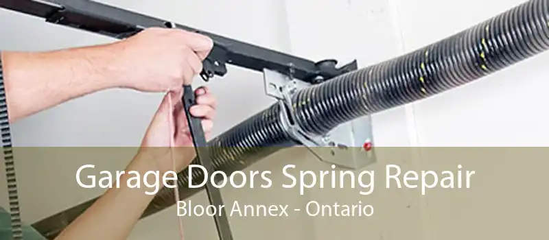 Garage Doors Spring Repair Bloor Annex - Ontario