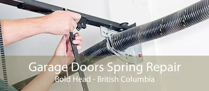 Garage Doors Spring Repair Bold Head - British Columbia