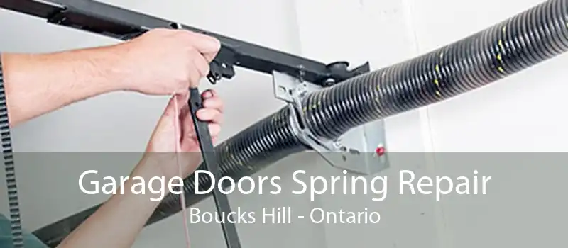Garage Doors Spring Repair Boucks Hill - Ontario
