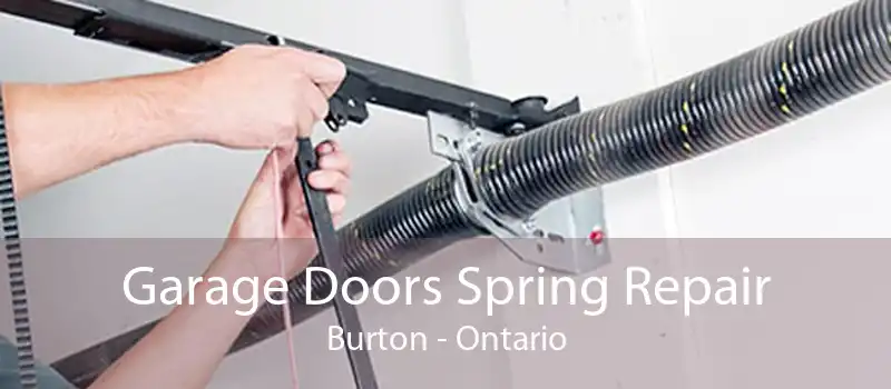 Garage Doors Spring Repair Burton - Ontario
