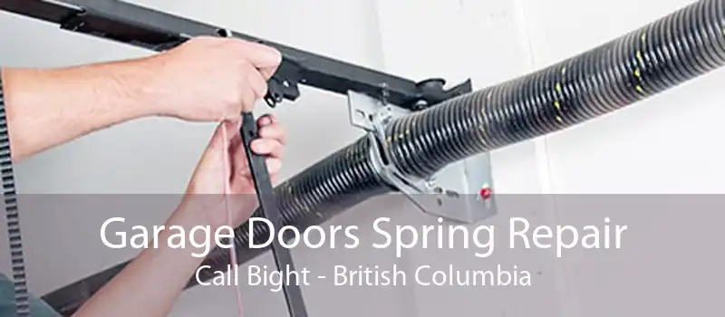 Garage Doors Spring Repair Call Bight - British Columbia