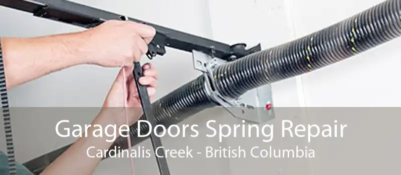 Garage Doors Spring Repair Cardinalis Creek - British Columbia