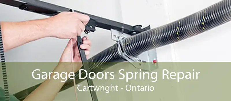 Garage Doors Spring Repair Cartwright - Ontario