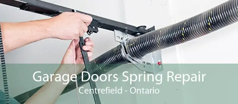 Garage Doors Spring Repair Centrefield - Ontario