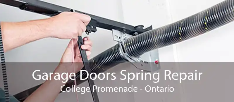 Garage Doors Spring Repair College Promenade - Ontario