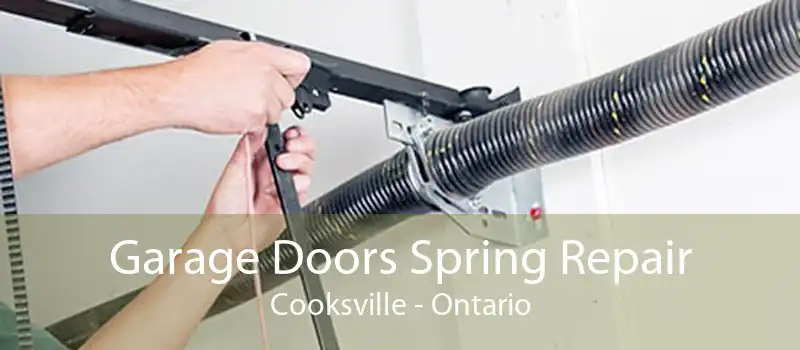 Garage Doors Spring Repair Cooksville - Ontario