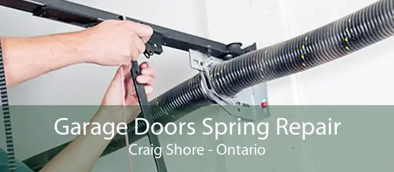 Garage Doors Spring Repair Craig Shore - Ontario