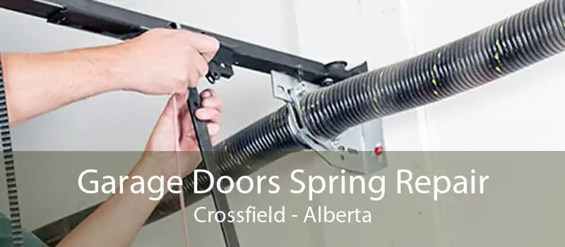 Garage Doors Spring Repair Crossfield - Alberta