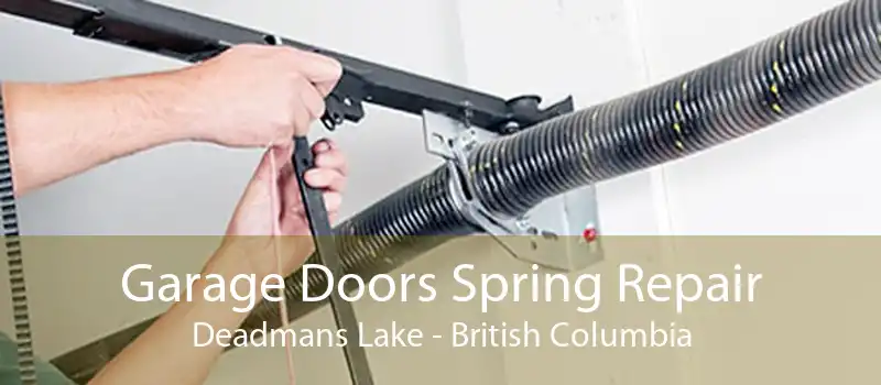 Garage Doors Spring Repair Deadmans Lake - British Columbia