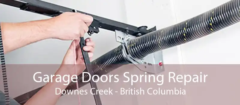 Garage Doors Spring Repair Downes Creek - British Columbia