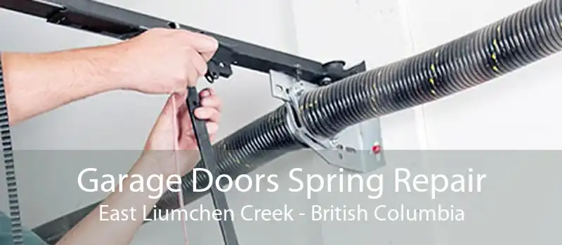 Garage Doors Spring Repair East Liumchen Creek - British Columbia