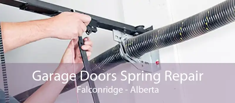 Garage Doors Spring Repair Falconridge - Alberta
