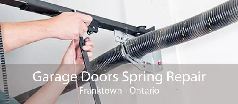 Garage Doors Spring Repair Franktown - Ontario